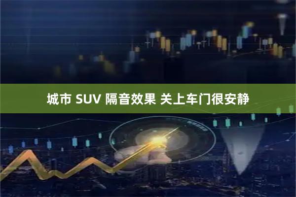 城市 SUV 隔音效果 关上车门很安静