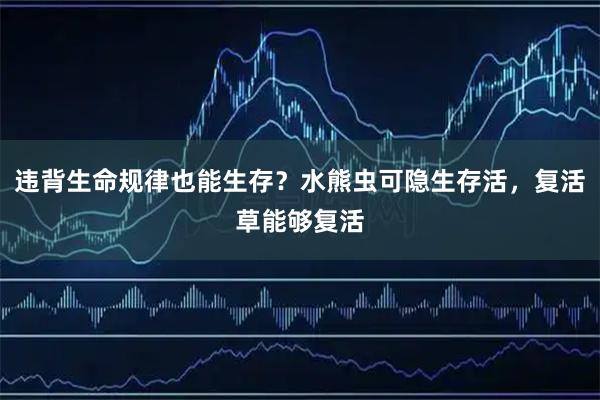 违背生命规律也能生存？水熊虫可隐生存活，复活草能够复活
