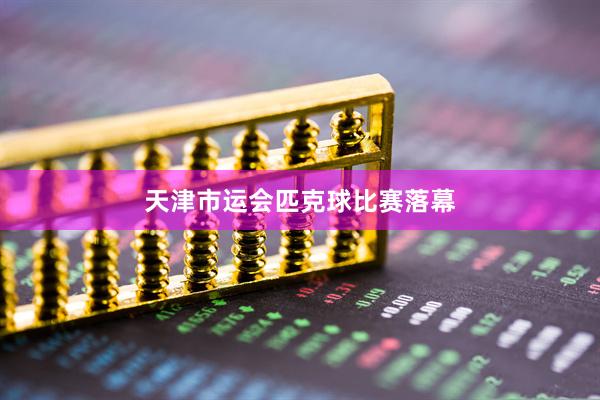 天津市运会匹克球比赛落幕